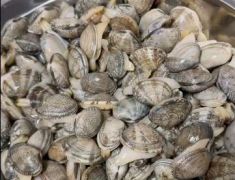 鲜活花甲泡水一天，竟全军“覆没”