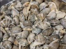 鲜活花甲泡水一天，竟全军“覆没”