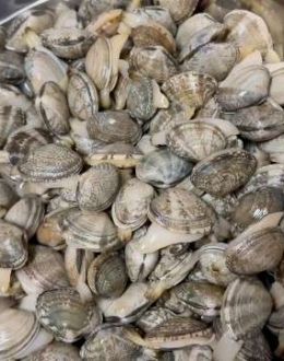 鲜活花甲泡水一天，竟全军“覆没”
