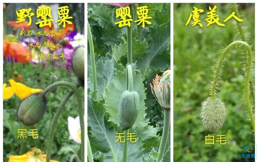 微信图片_20230408175305.jpg