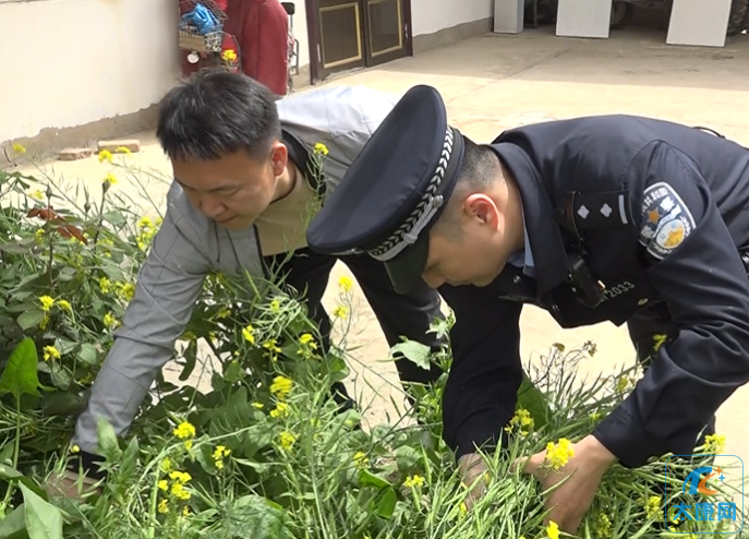 微信截图_20230413125216.png