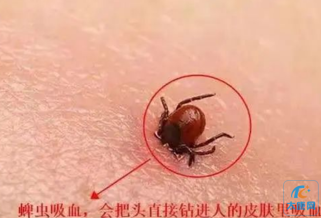 微信截图_20230427143917.png