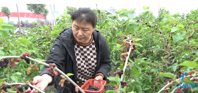 微信截图_20230507161757.png