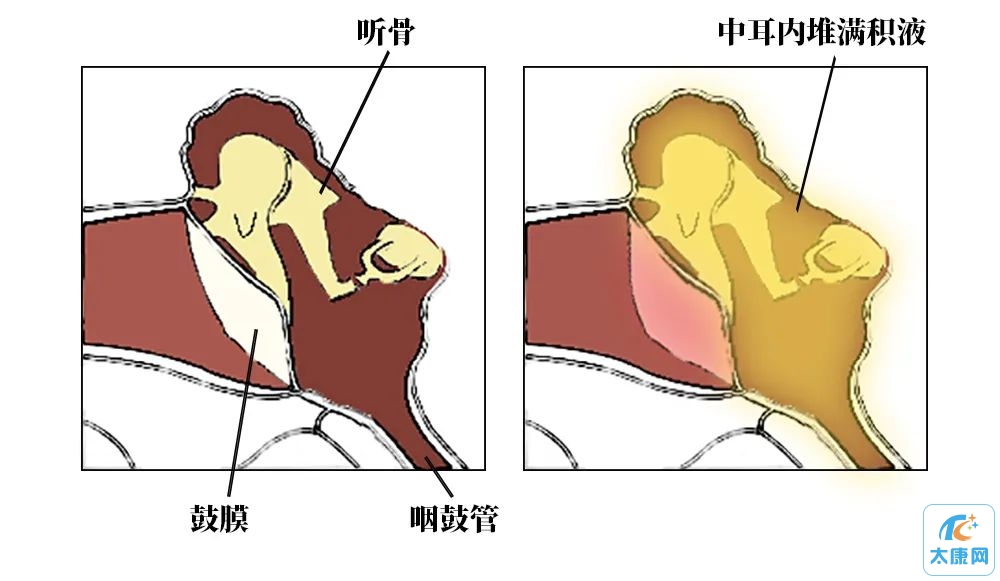 微信图片_20230531181919.jpg