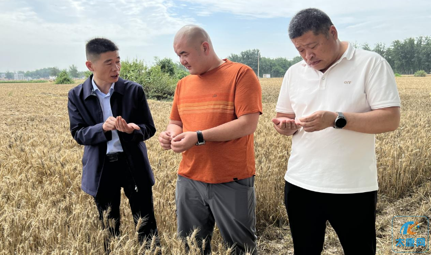 微信截图_20230603142007.png