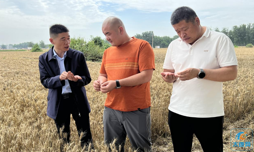 微信截图_20230603171353.png