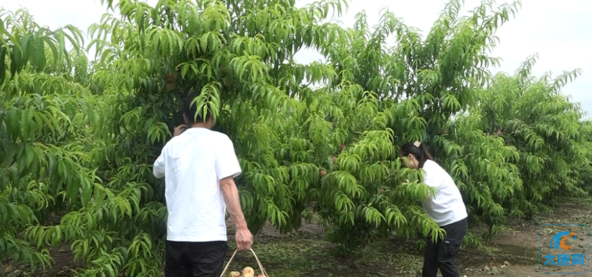 微信截图_20230605170857.png