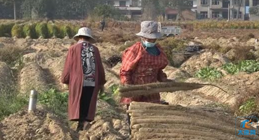 微信截图_20231011173044.png