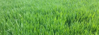 微信截图_20231106163509.png