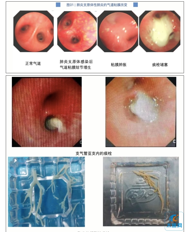 微信截图_20231113161132.png