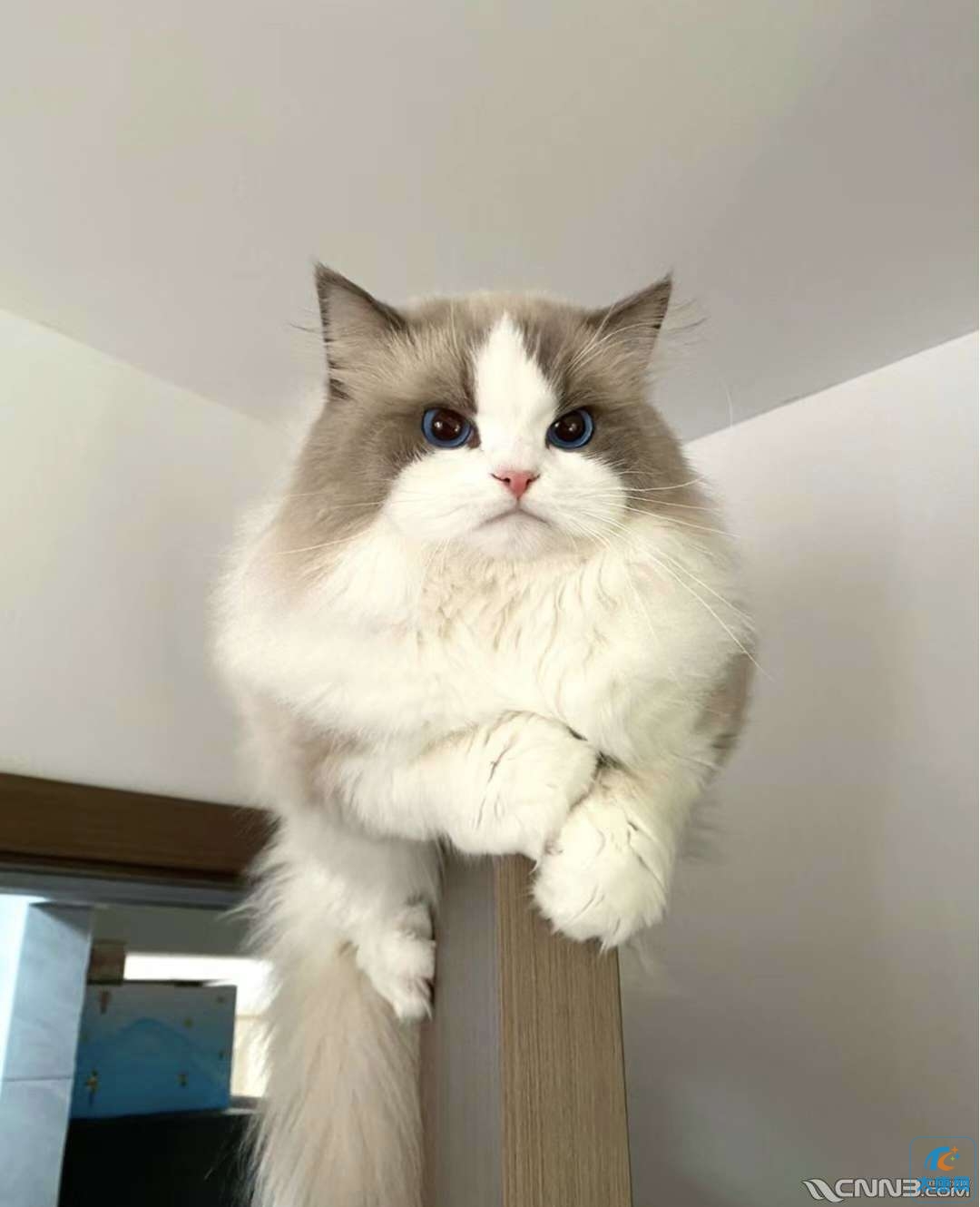 20240104182134front2_0_426947_FlbdHEN2YJqGpubLlBpUPGv24_oW.jpg